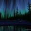 Night Aurora : Singing Sky
